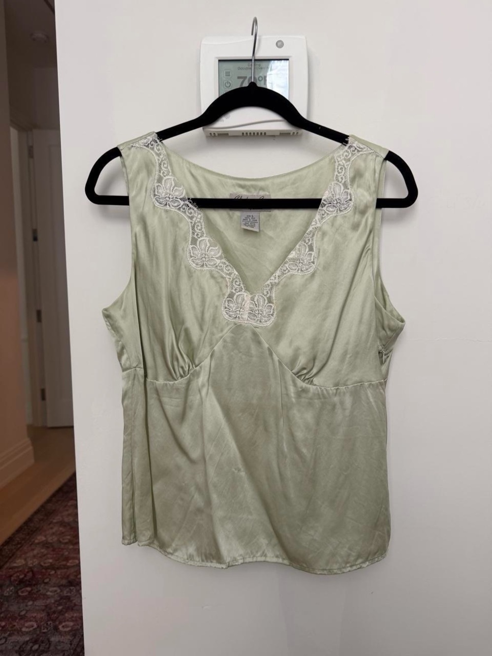Silk Lace Trim Sleeveless Top in Pale Green